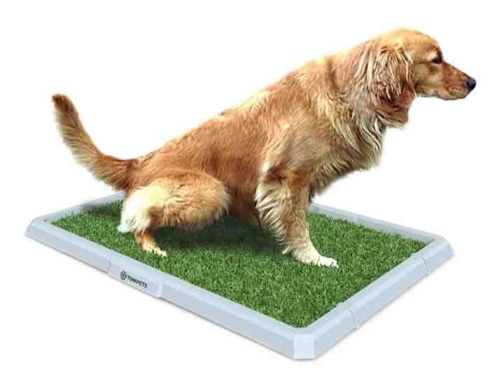 BANDEJA TONIPETS HEMBRA GRANDE 69X48X3CM